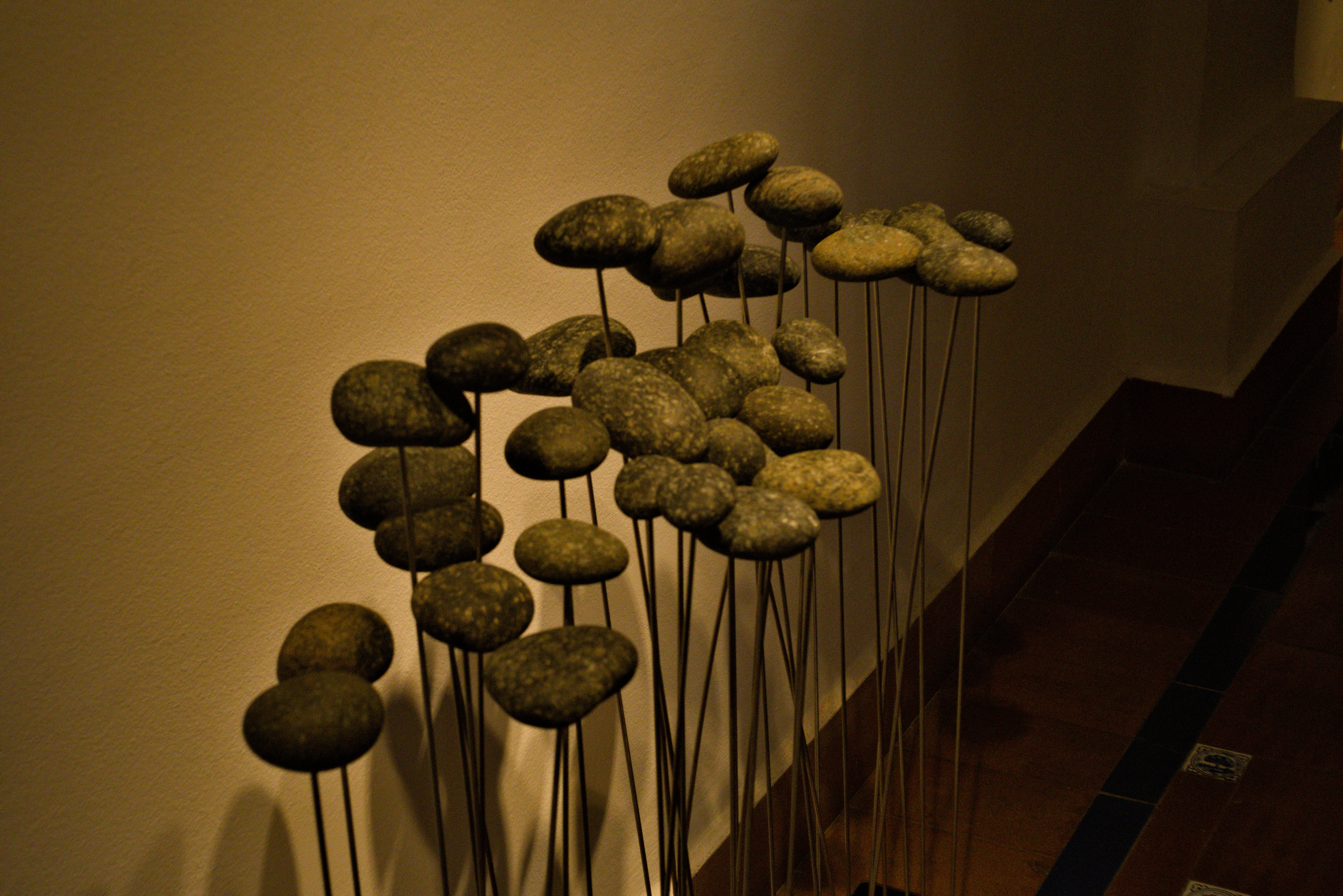 Meyer-Optik Görlitz Primagon 35mm f4.5 (M42) - _I4A3150.webp